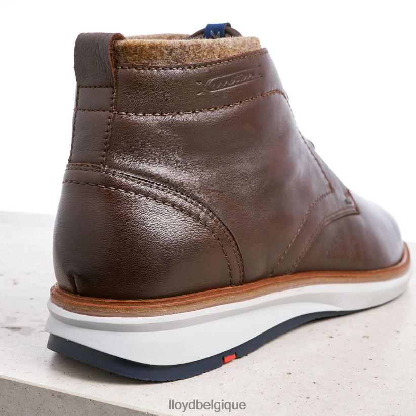 LLOYD maxwell Hommes brun 4Z6Z66274 chaussures