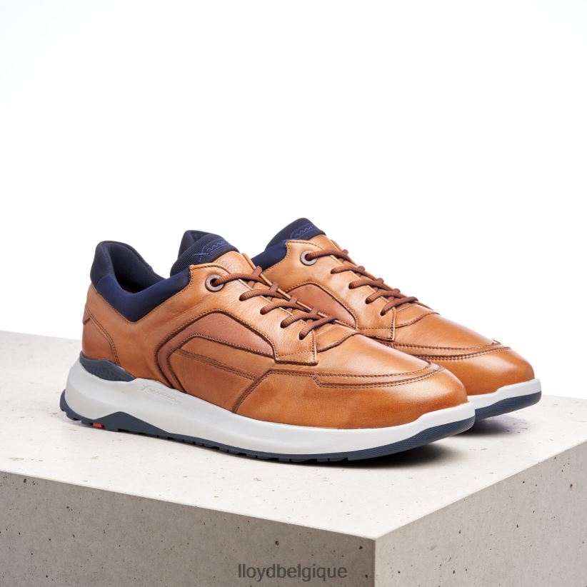 LLOYD memphis Hommes brun 4Z6Z661328 chaussures