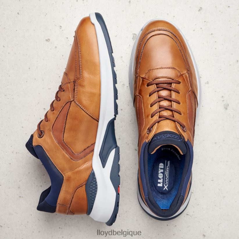 LLOYD memphis Hommes brun 4Z6Z661328 chaussures