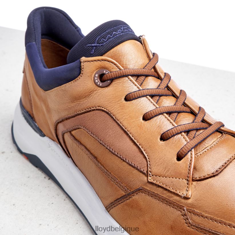 LLOYD memphis Hommes brun 4Z6Z661328 chaussures