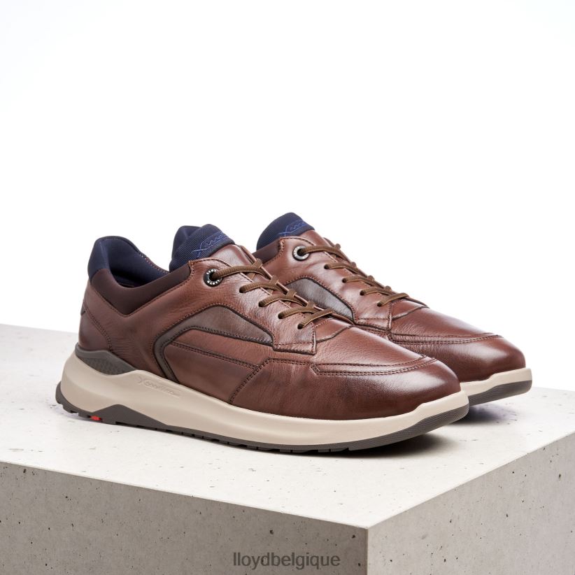 LLOYD memphis Hommes brun 4Z6Z66267 chaussures