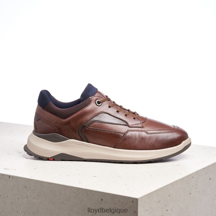 LLOYD memphis Hommes brun 4Z6Z66267 chaussures