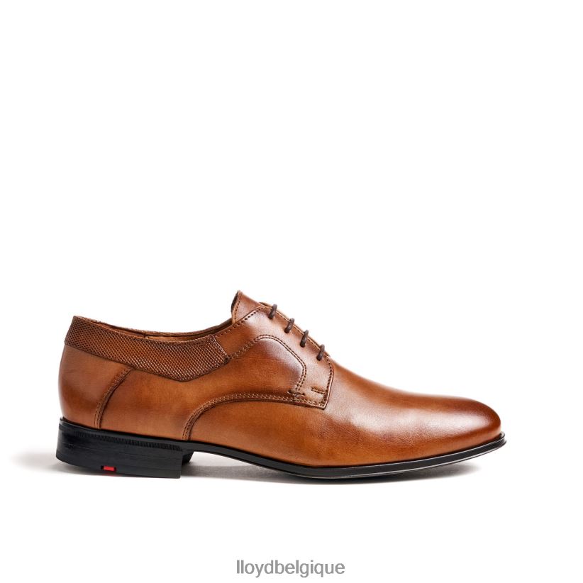 LLOYD monsieur Hommes brun 4Z6Z6691 chaussures
