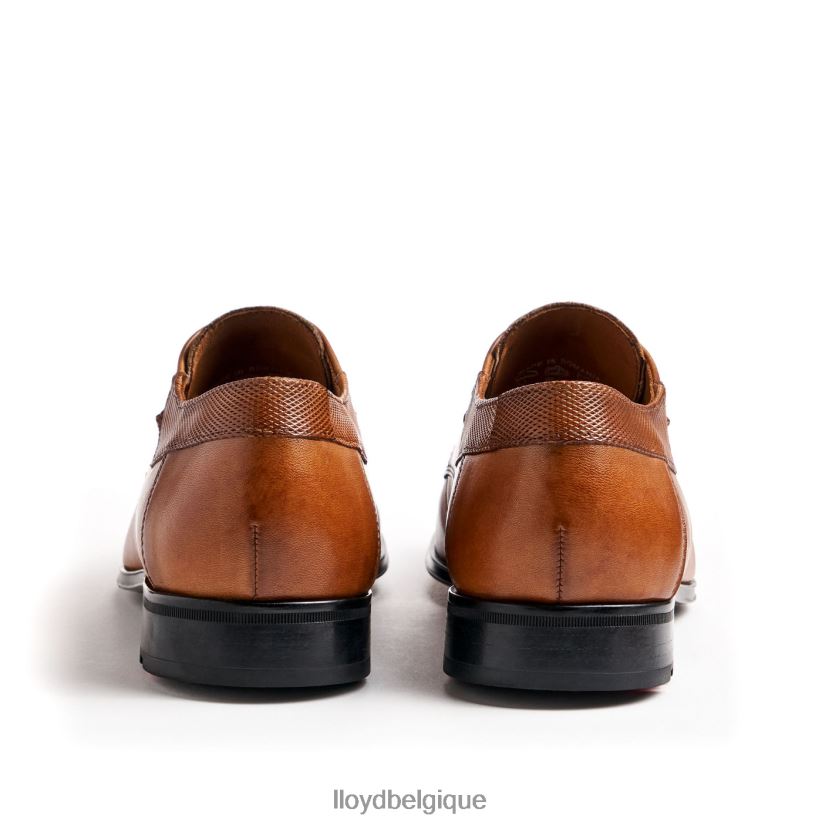 LLOYD monsieur Hommes brun 4Z6Z6691 chaussures