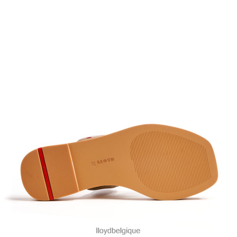 LLOYD mule femmes beige 4Z6Z661220 chaussures