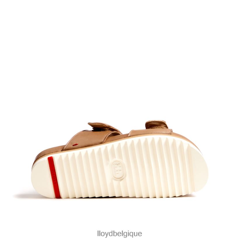 LLOYD mule femmes beige 4Z6Z661221 chaussures