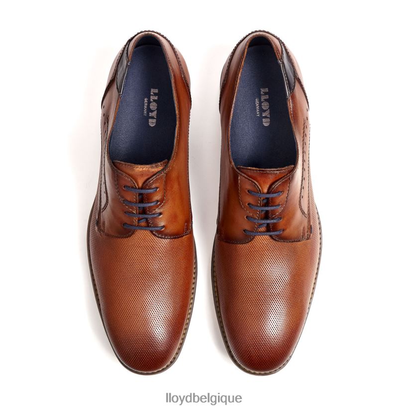 LLOYD namir Hommes brun 4Z6Z66217 chaussures