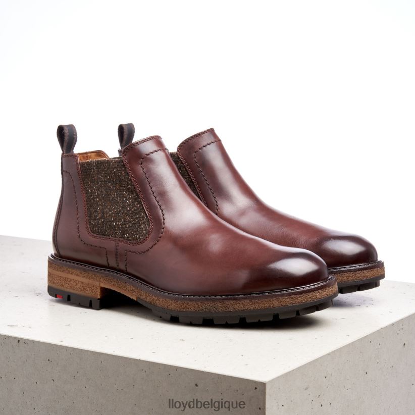 LLOYD odem Hommes brun 4Z6Z66532 chaussures