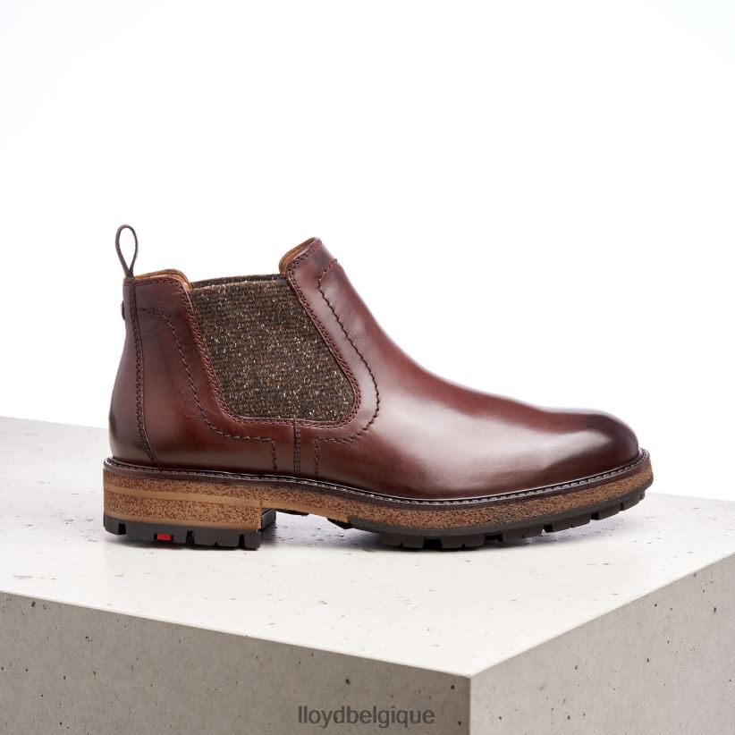 LLOYD odem Hommes brun 4Z6Z66532 chaussures
