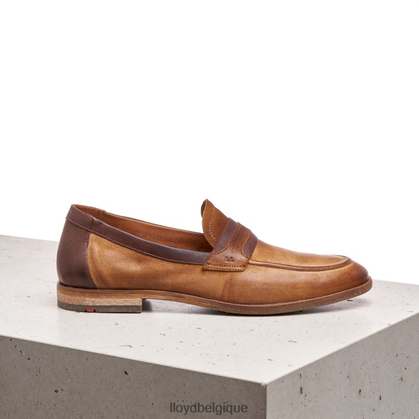 LLOYD oktant Hommes brun 4Z6Z66604 chaussures