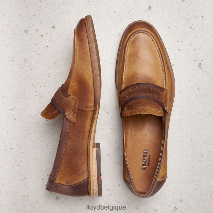 LLOYD oktant Hommes brun 4Z6Z66604 chaussures