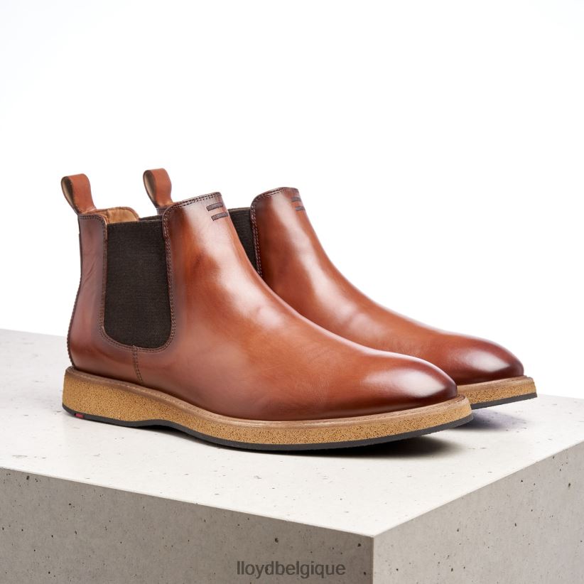 LLOYD oris Hommes brun 4Z6Z66558 chaussures