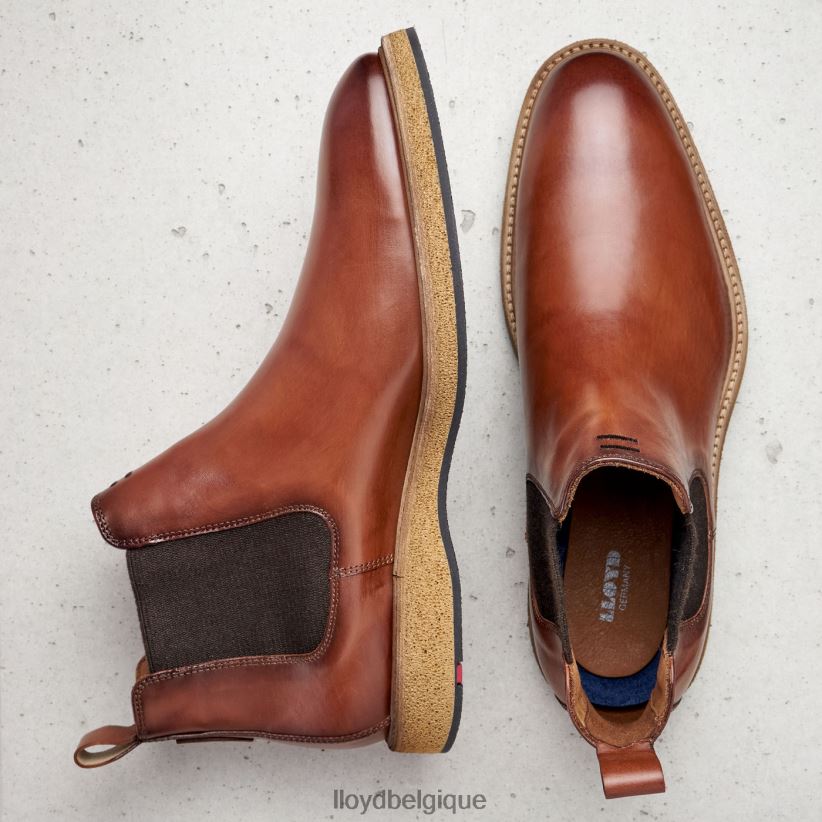 LLOYD oris Hommes brun 4Z6Z66558 chaussures