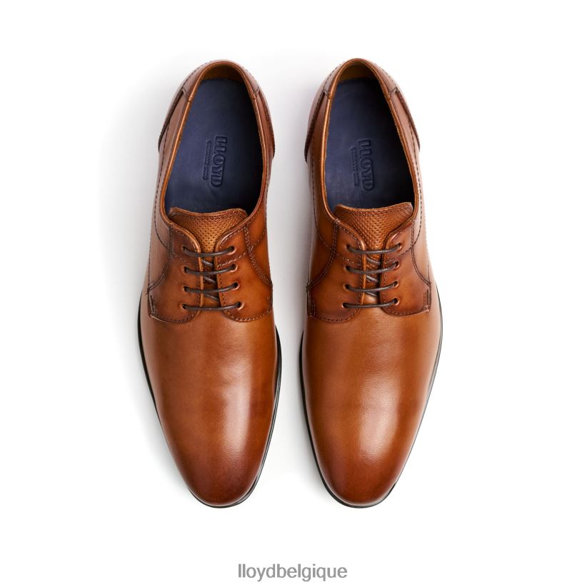 LLOYD osmond Hommes brun 4Z6Z6684 chaussures