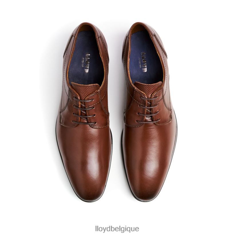 LLOYD osmond Hommes brun 4Z6Z6685 chaussures