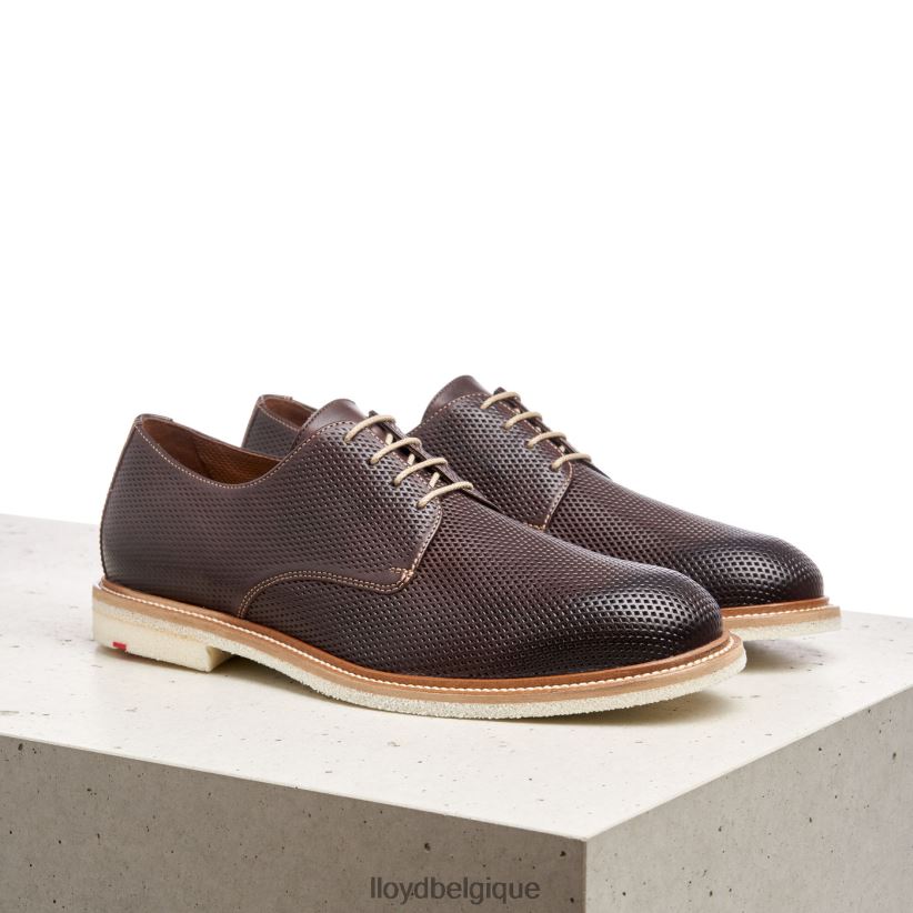 LLOYD palme Hommes brun 4Z6Z66226 chaussures