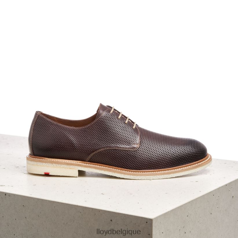 LLOYD palme Hommes brun 4Z6Z66226 chaussures