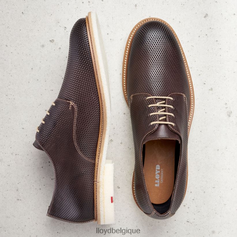 LLOYD palme Hommes brun 4Z6Z66226 chaussures