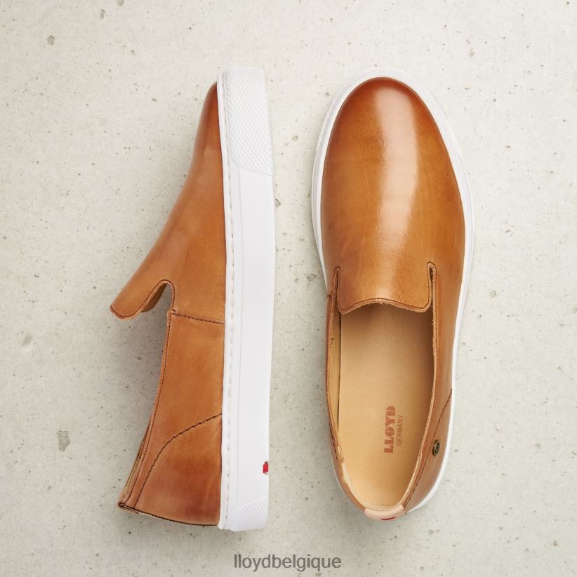 LLOYD pantoufle en cuir femmes brun 4Z6Z661349 chaussures