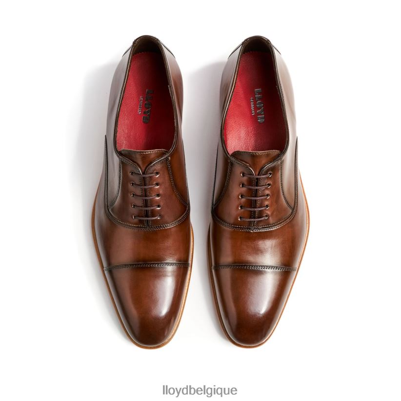 LLOYD parc Hommes brun 4Z6Z66156 chaussures