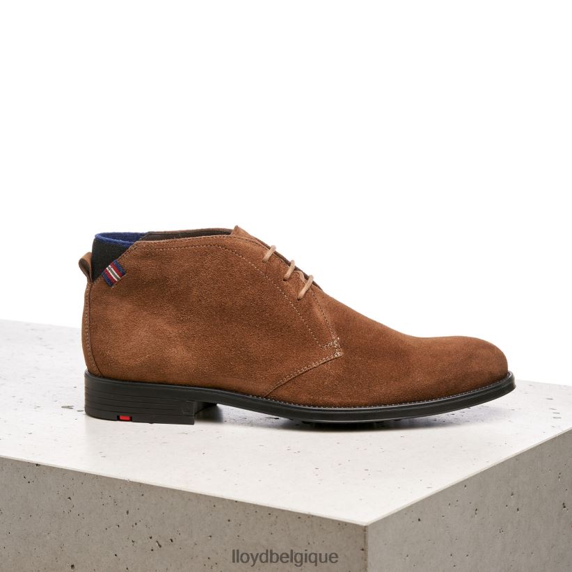 LLOYD patriote Hommes brun 4Z6Z66531 chaussures