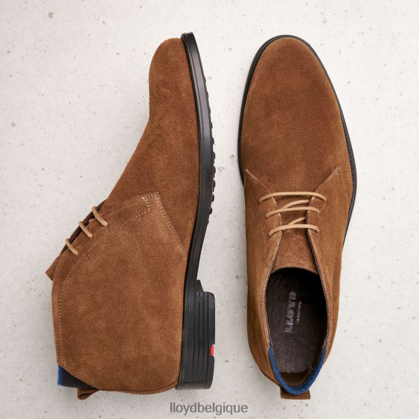 LLOYD patriote Hommes brun 4Z6Z66531 chaussures