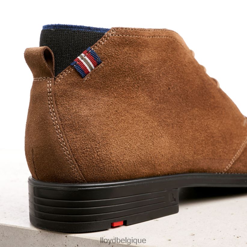 LLOYD patriote Hommes brun 4Z6Z66531 chaussures