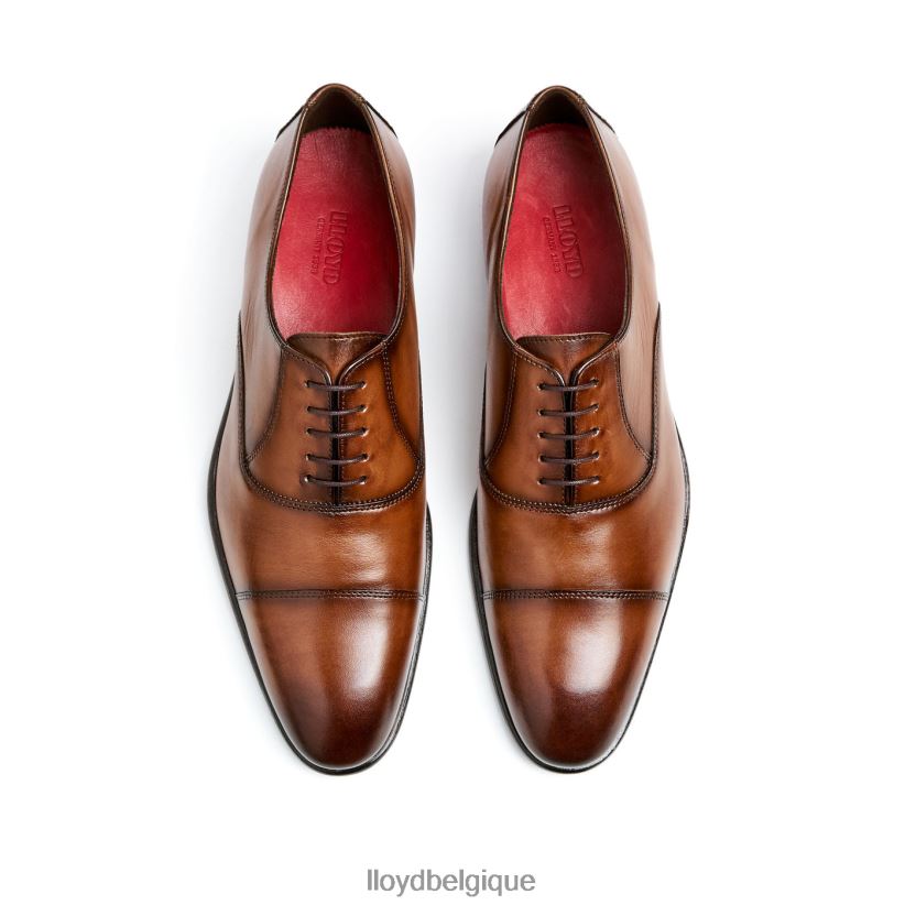 LLOYD piscine Hommes brun 4Z6Z661 chaussures