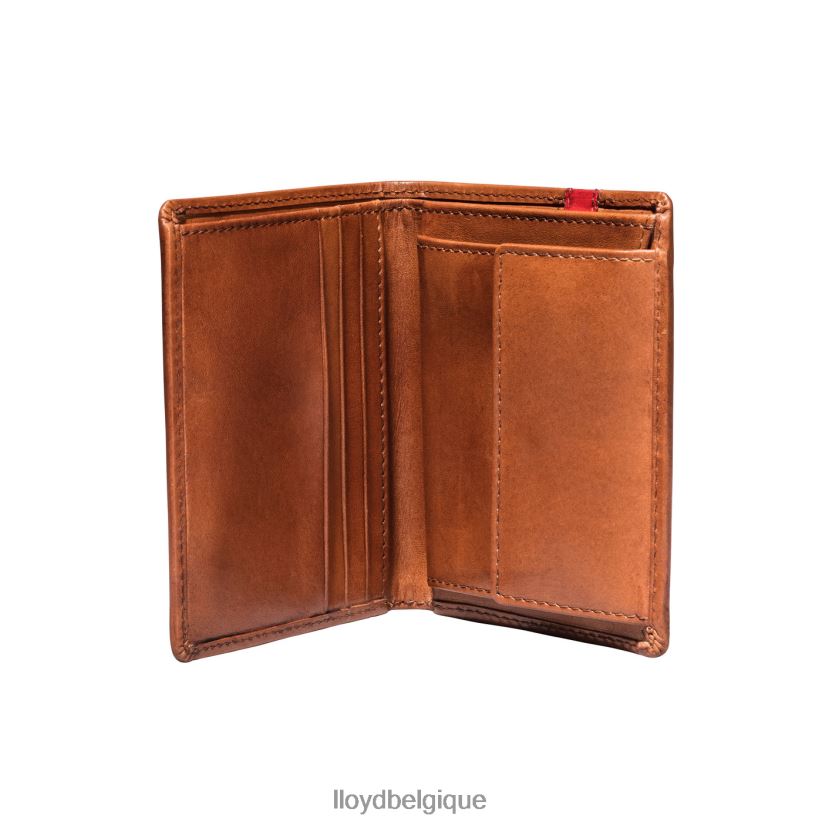 LLOYD poche Hommes brun 4Z6Z66656 accessoires