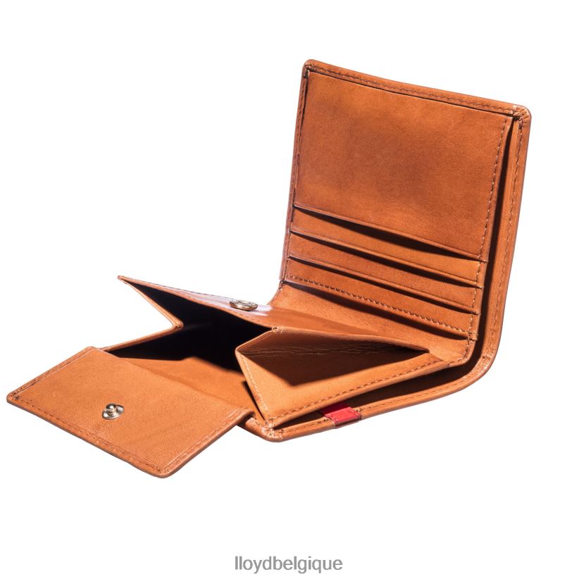 LLOYD poche Hommes brun 4Z6Z66656 accessoires