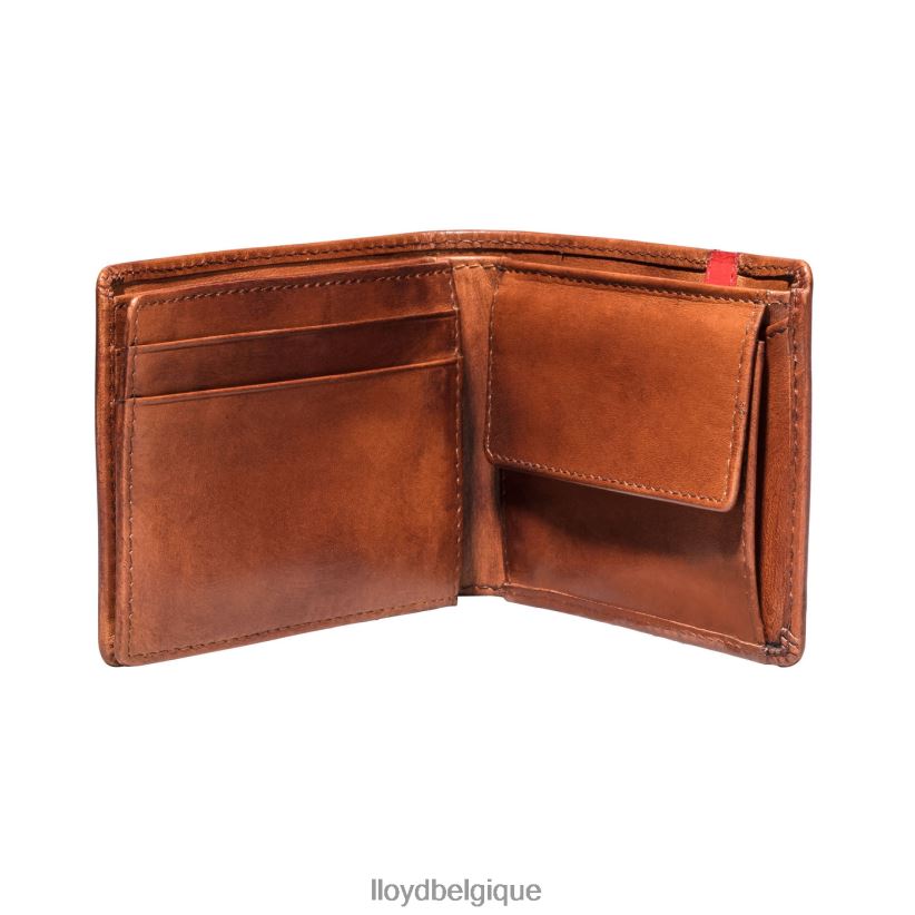 LLOYD poche Hommes brun 4Z6Z66677 accessoires