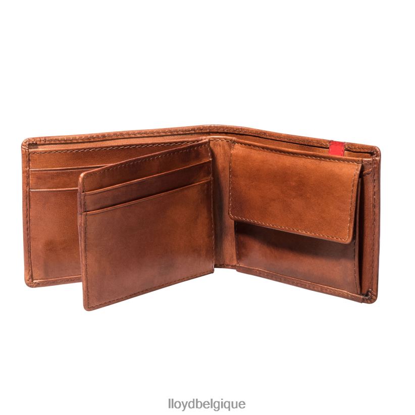 LLOYD poche Hommes brun 4Z6Z66677 accessoires