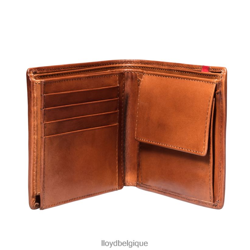 LLOYD poche Hommes brun 4Z6Z66680 accessoires