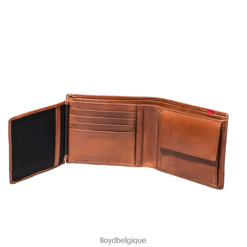 LLOYD poche Hommes brun 4Z6Z66680 accessoires