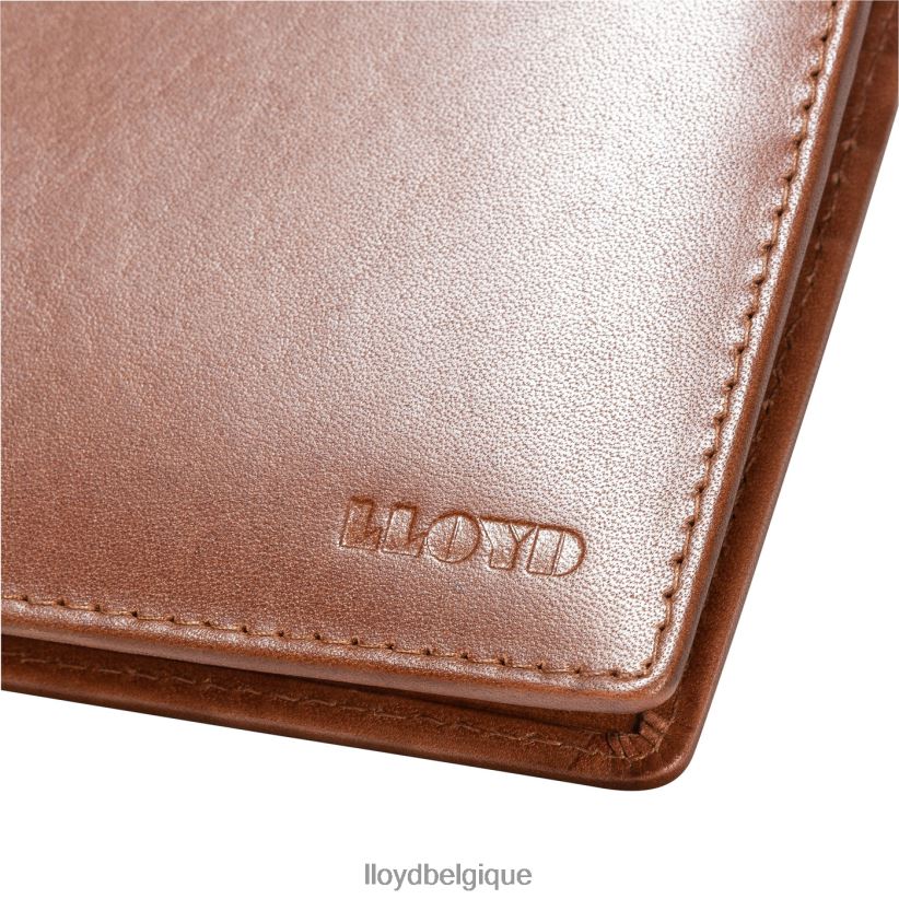 LLOYD pochette pour cartes Hommes brun 4Z6Z66671 accessoires