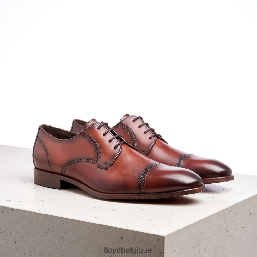 LLOYD poiré Hommes brun 4Z6Z66177 chaussures