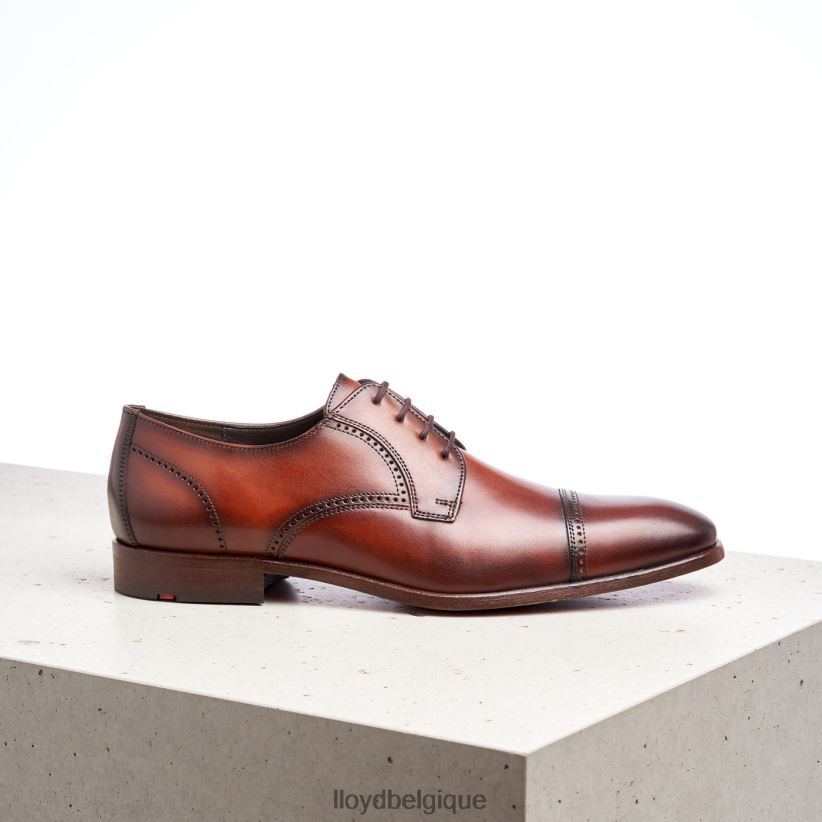 LLOYD poiré Hommes brun 4Z6Z66177 chaussures