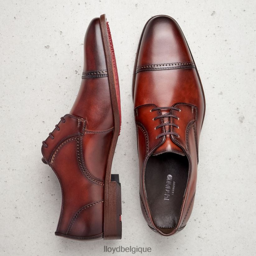 LLOYD poiré Hommes brun 4Z6Z66177 chaussures