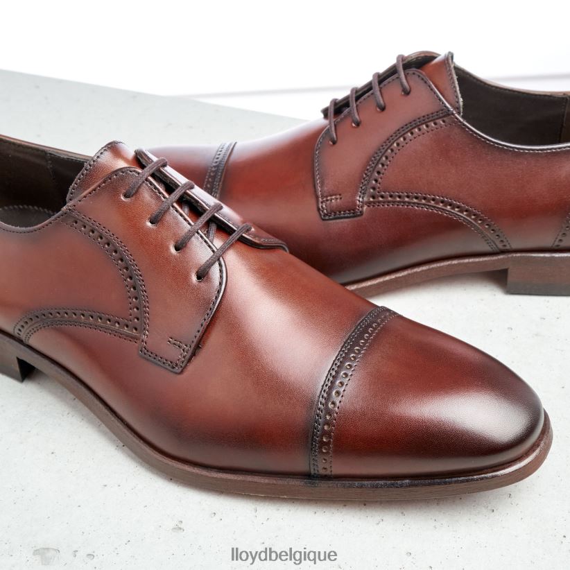 LLOYD poiré Hommes brun 4Z6Z66177 chaussures