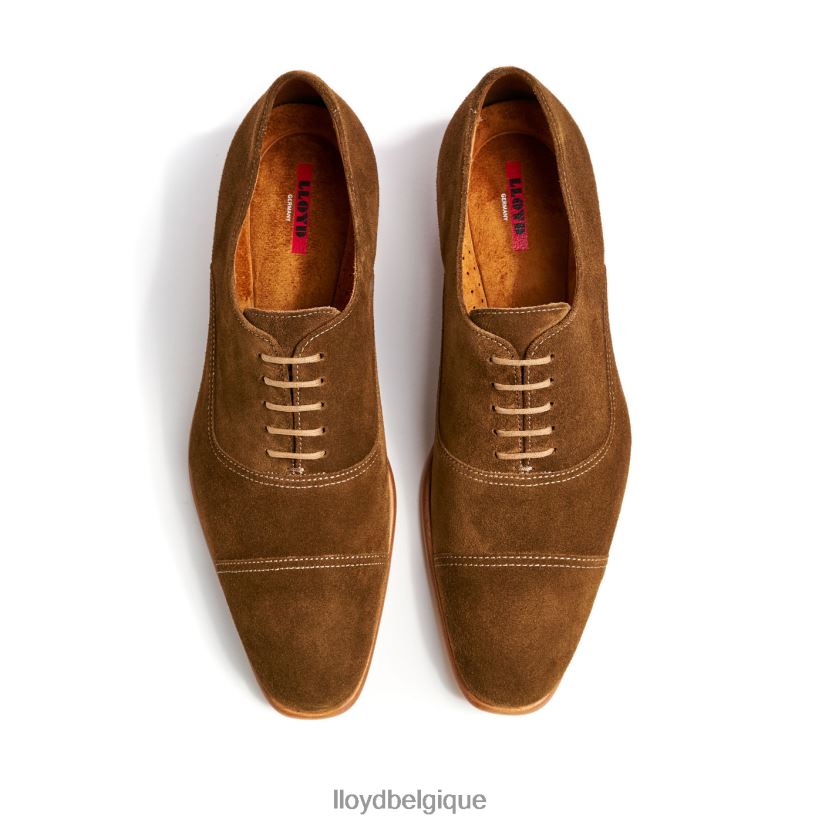 LLOYD rando Hommes brun 4Z6Z66231 chaussures