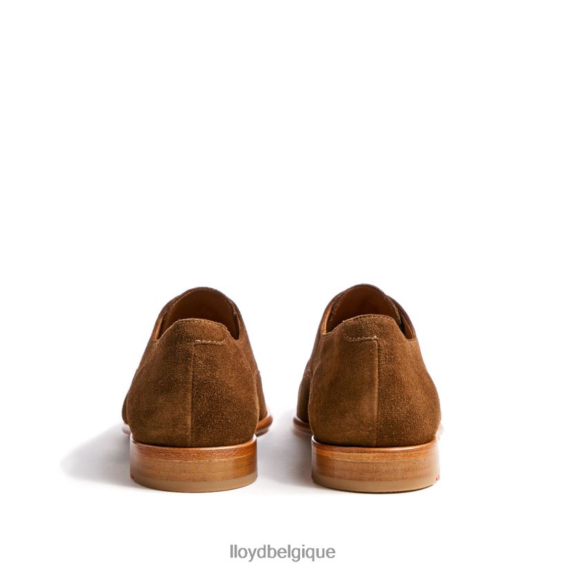 LLOYD rando Hommes brun 4Z6Z66231 chaussures