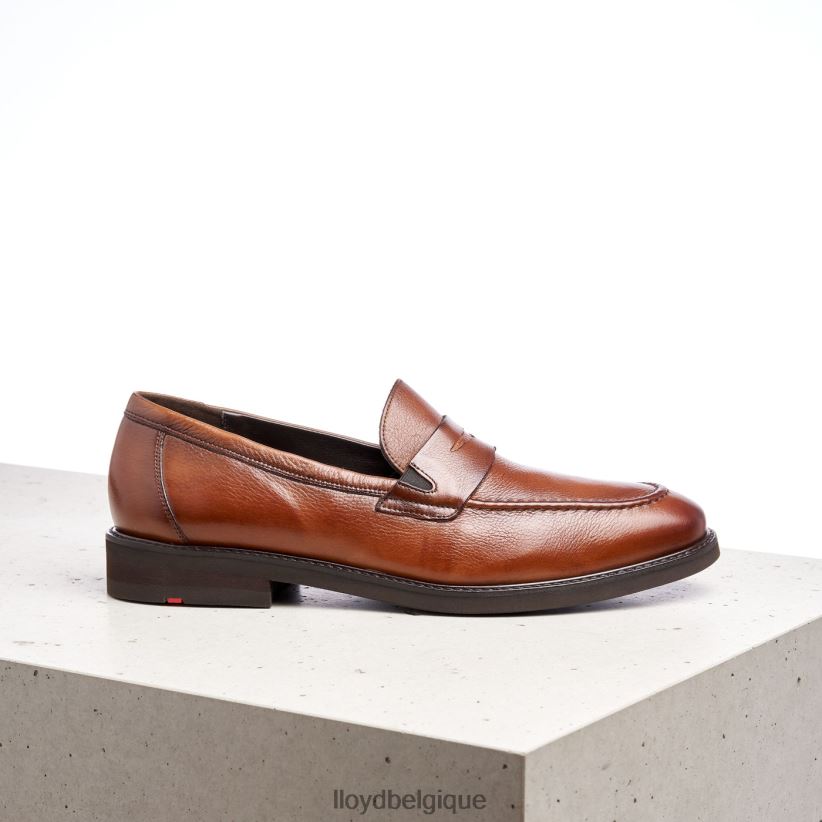 LLOYD reg Hommes brun 4Z6Z66169 chaussures