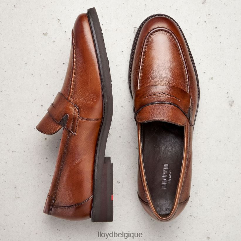 LLOYD reg Hommes brun 4Z6Z66169 chaussures