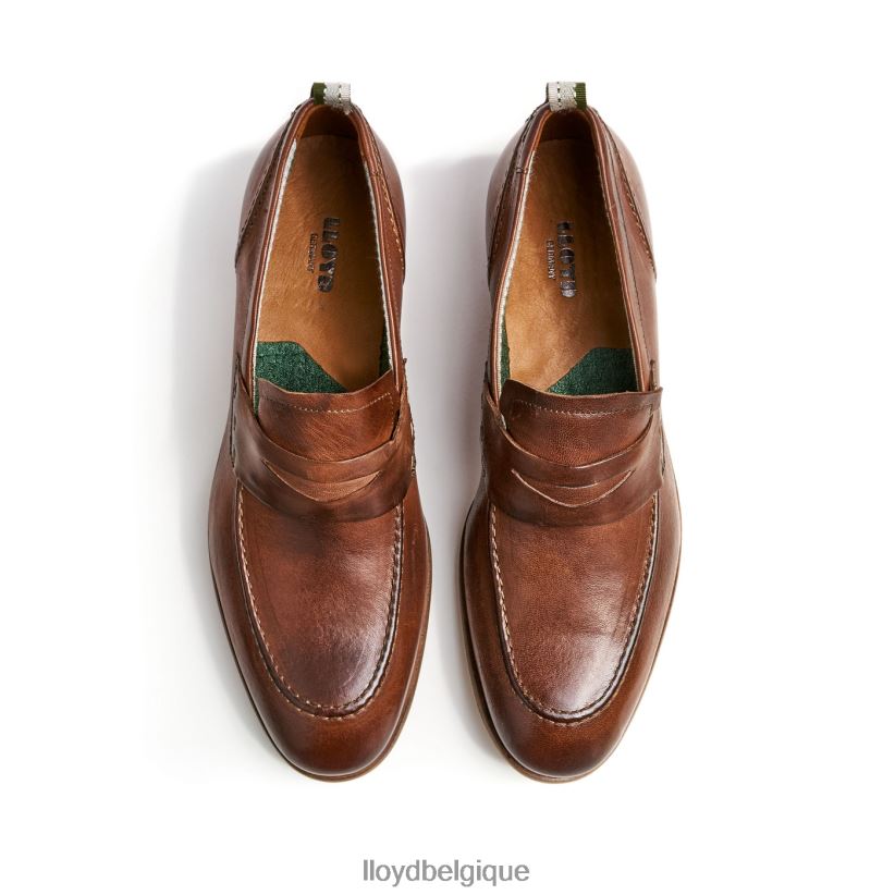 LLOYD ripan Hommes brun 4Z6Z661348 chaussures