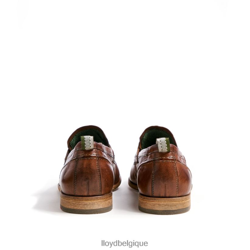 LLOYD ripan Hommes brun 4Z6Z661348 chaussures