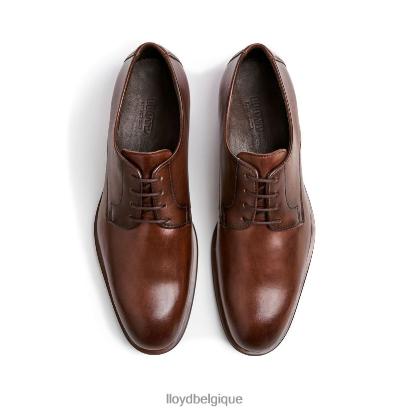 LLOYD sabre Hommes brun 4Z6Z662 chaussures