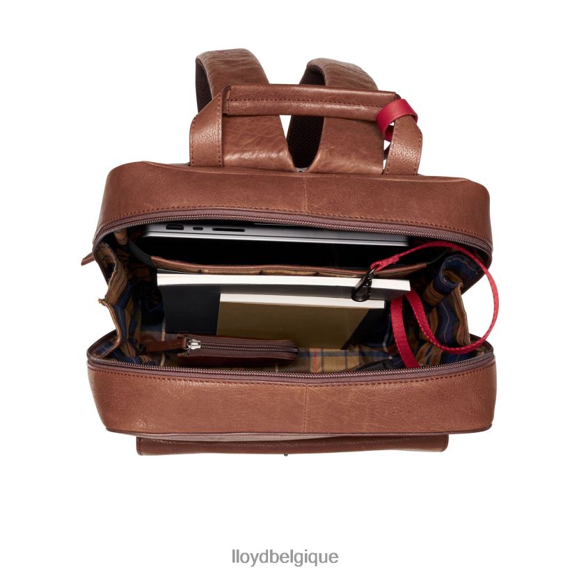 LLOYD sac à dos Hommes brun 4Z6Z66651 accessoires