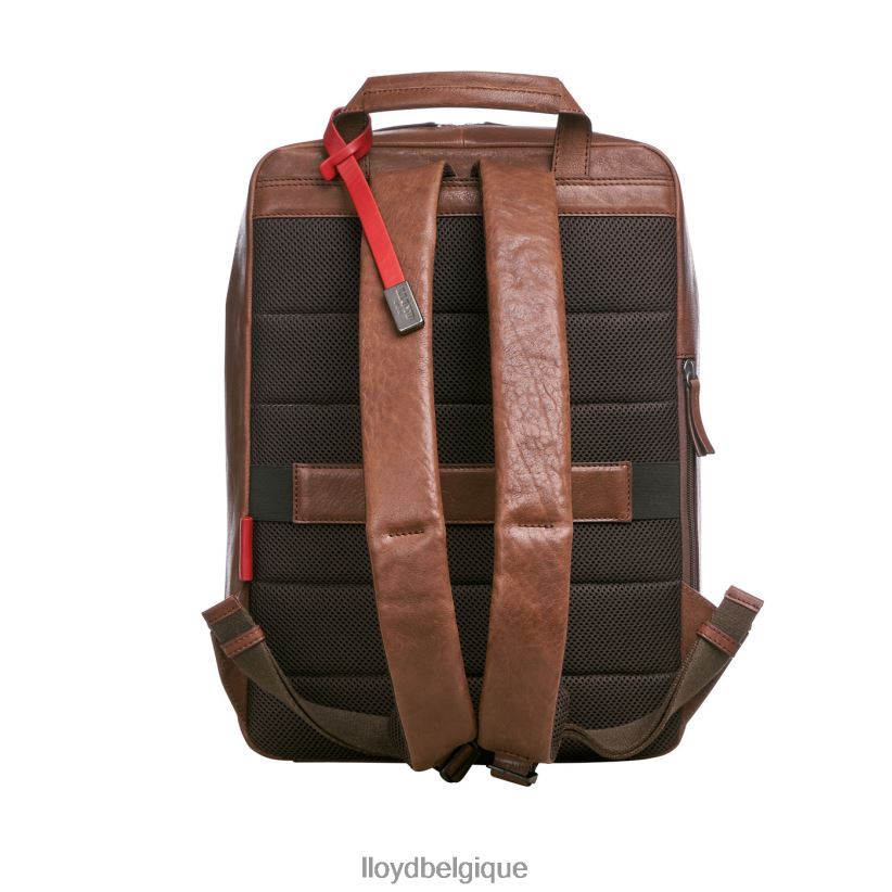 LLOYD sac à dos Hommes brun 4Z6Z66651 accessoires