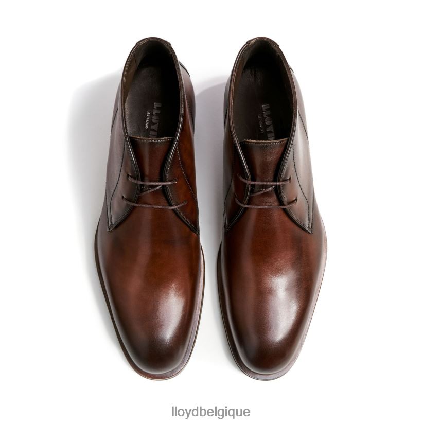 LLOYD saints Hommes brun 4Z6Z66494 chaussures