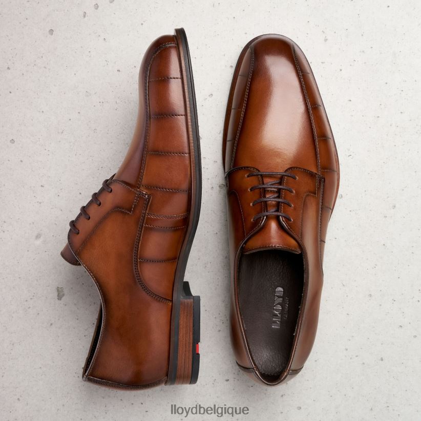 LLOYD saluer Hommes brun 4Z6Z66224 chaussures